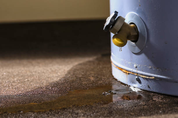 Best Water damage restoration near me  in Martinsvle, IL
