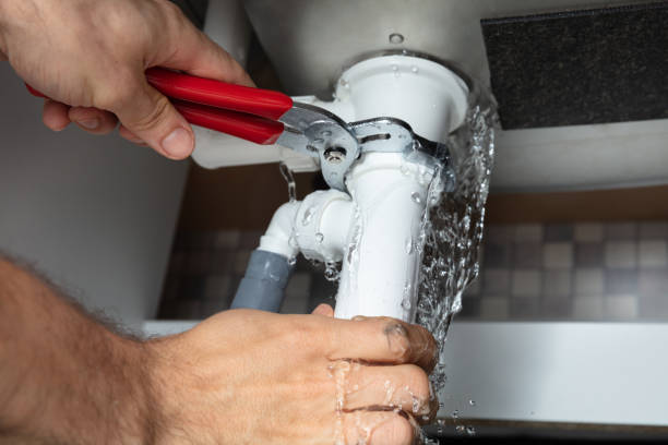 Best Flooded house restoration  in Martinsvle, IL