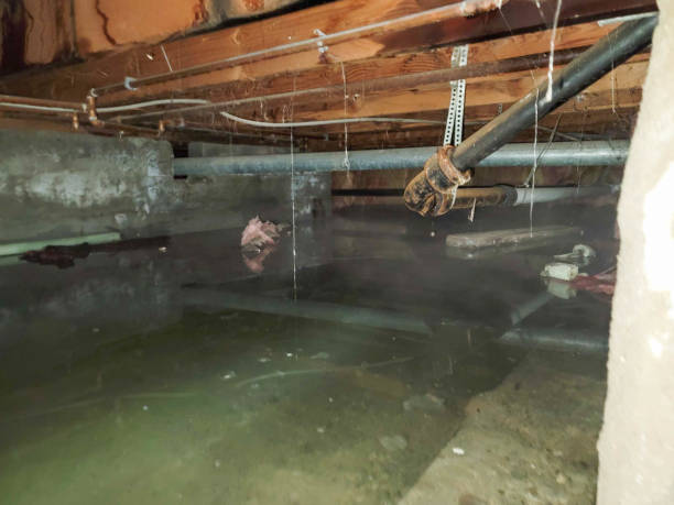 Best Emergency water damage restoration  in Martinsvle, IL