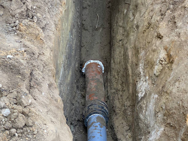 Best Sewage cleanup and water damage restoration  in Martinsvle, IL
