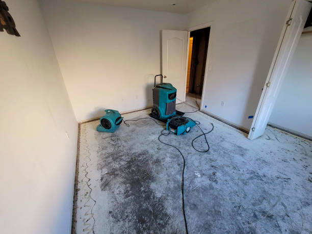Best 24-hour water damage restoration  in Martinsvle, IL