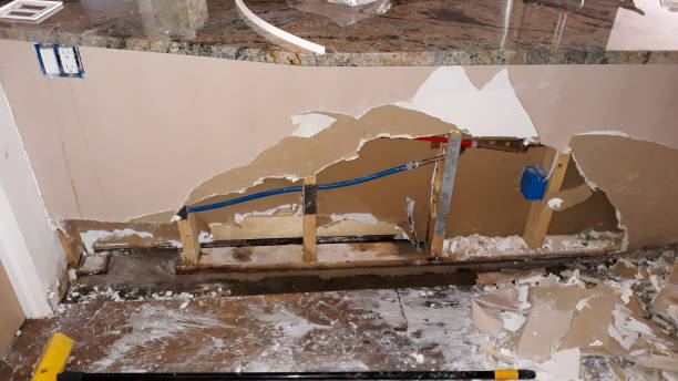 Best Water damage restoration experts  in Martinsvle, IL